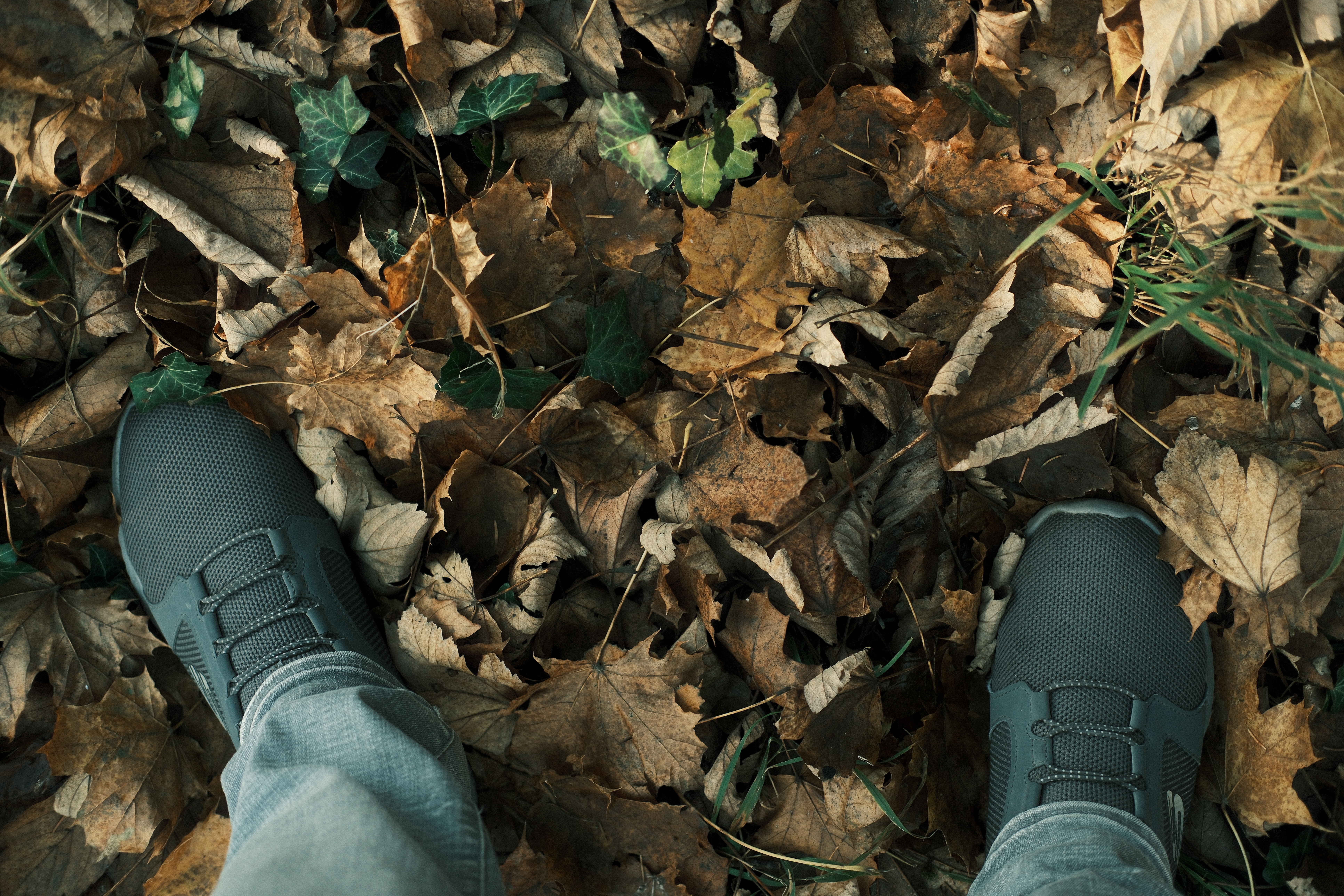 In and Around Munich